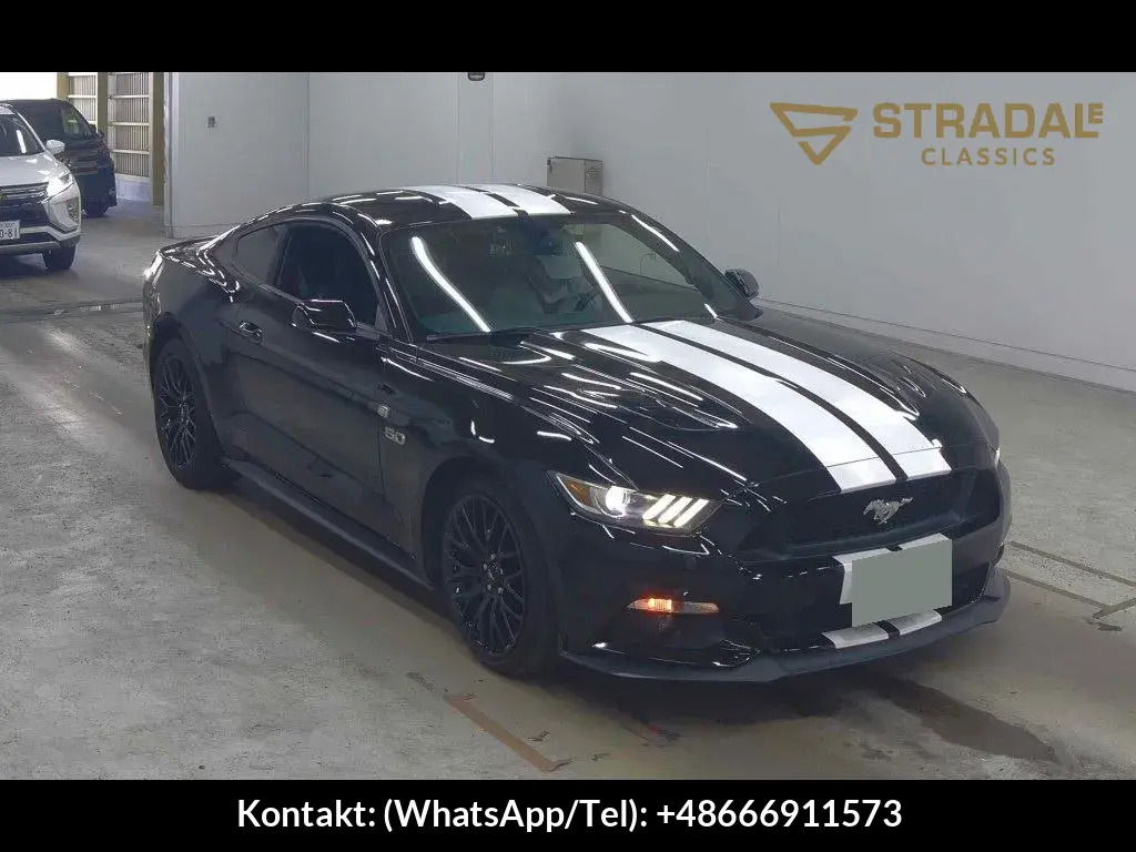 FORD MUSTANG CP OTHERS