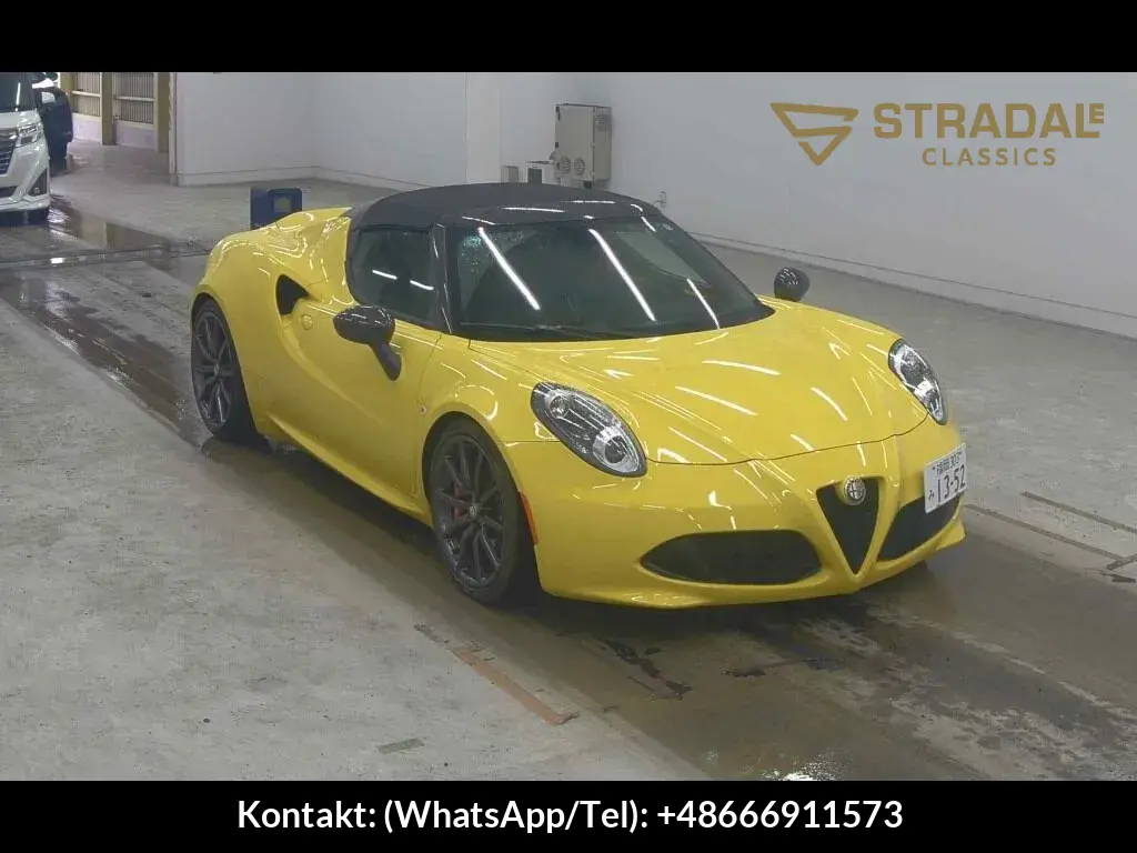 ALFA ROMEO 4C SPIDER OTHERS