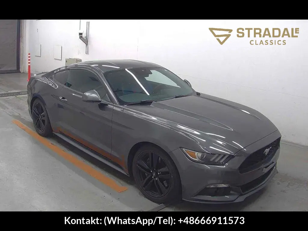 FORD MUSTANG CP 50 YEARS EDITION