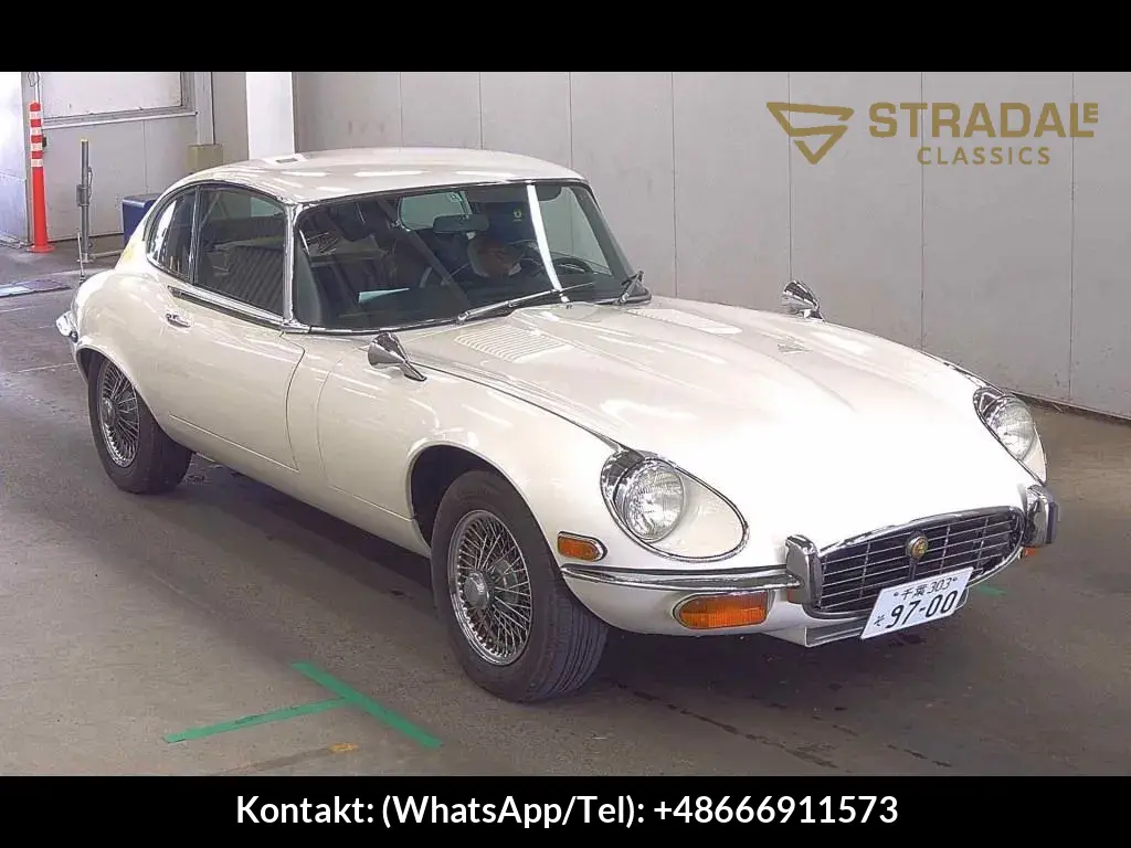 JAGUAR E-TYPE OTHERS