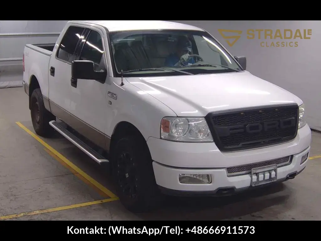 FORD F-150 4D 4WD OTHERS