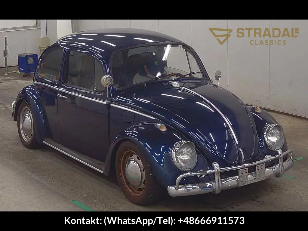 VOLKSWAGEN OTHERS