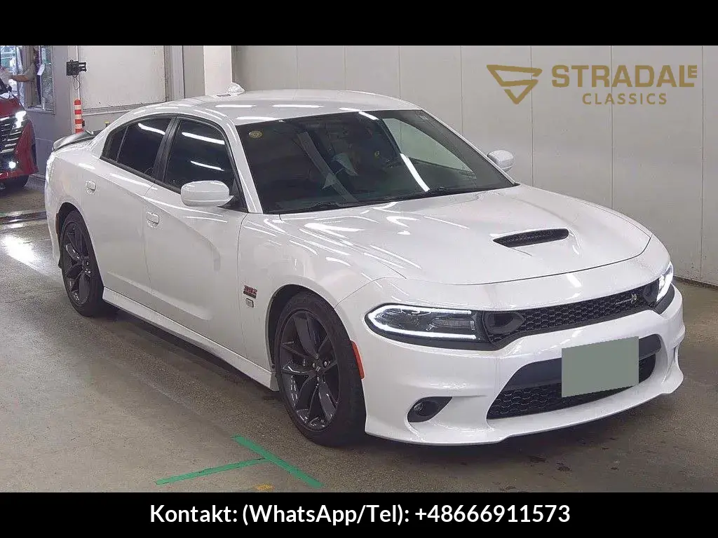 DODGE CHARGER 4D OTHERS